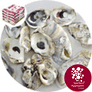 pH Correction Media - Natural Oyster Shells - 8946PH